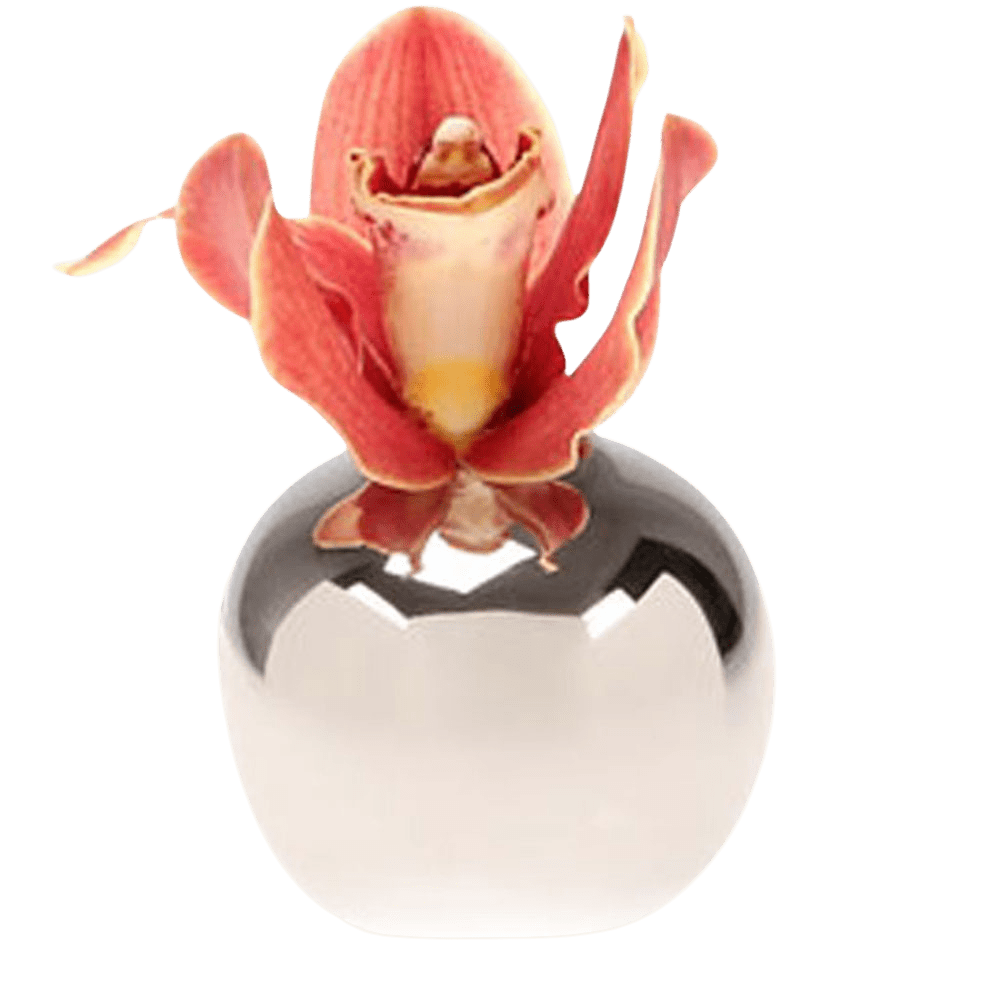 Jojo Ceramic Bud Vase For Flowers - Chive US Wholesale