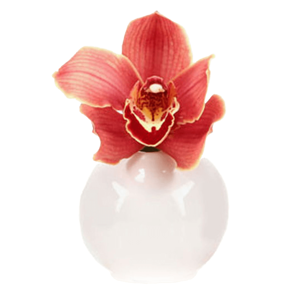 Jojo Ceramic Bud Vase For Flowers - Chive US Wholesale