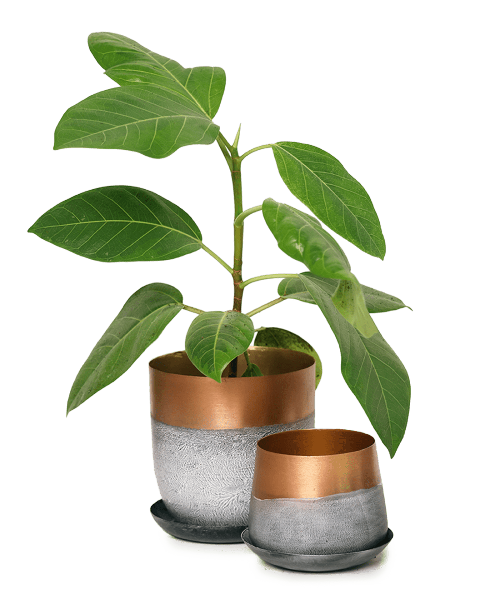 Joe Metal Pot With Drainage Hole - Chive US Wholesale