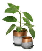 Joe Metal Pot With Drainage Hole - Chive US Wholesale
