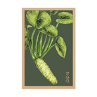 Japanese Wasabi Vegetable Seeds Packet - Chive US Wholesale