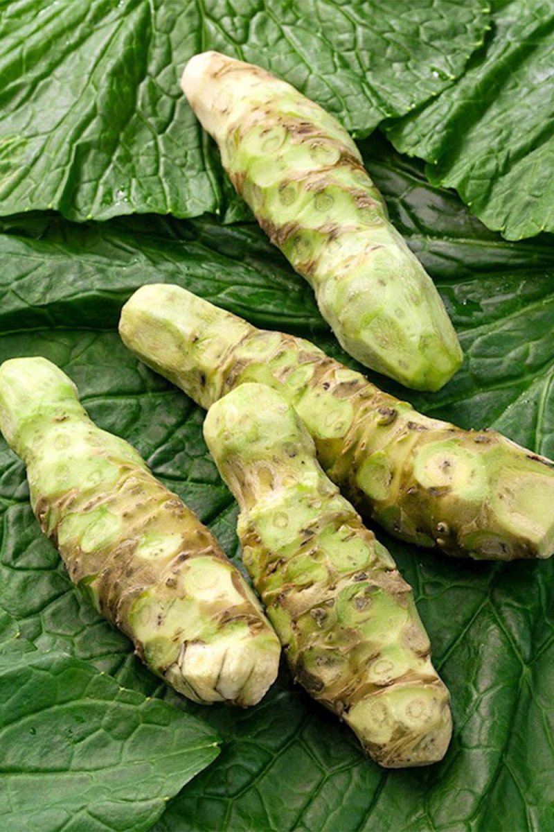 Japanese Wasabi Vegetable Seeds Packet - Chive US Wholesale