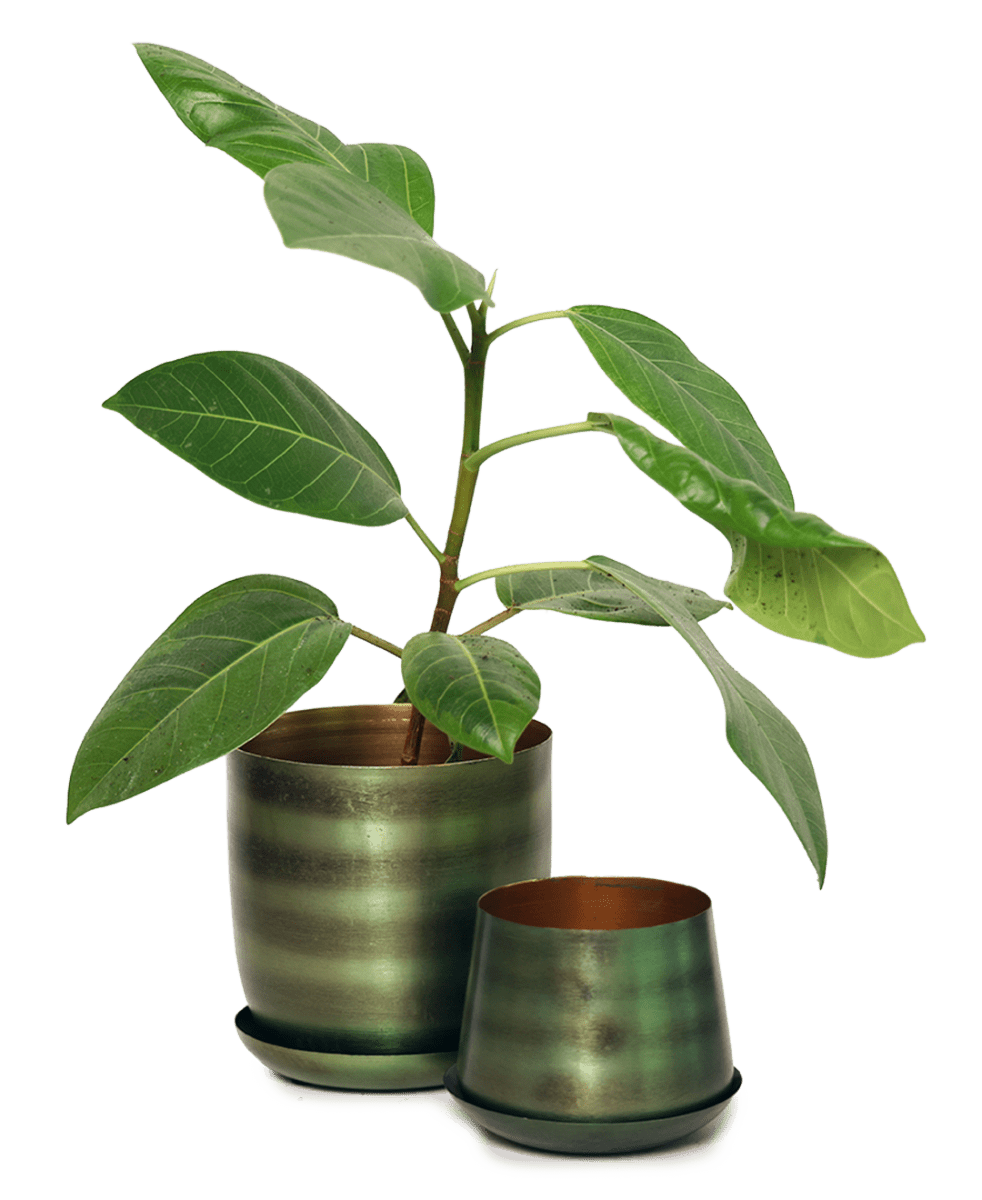 Joe Metal Pot With Drainage Hole - Chive US Wholesale