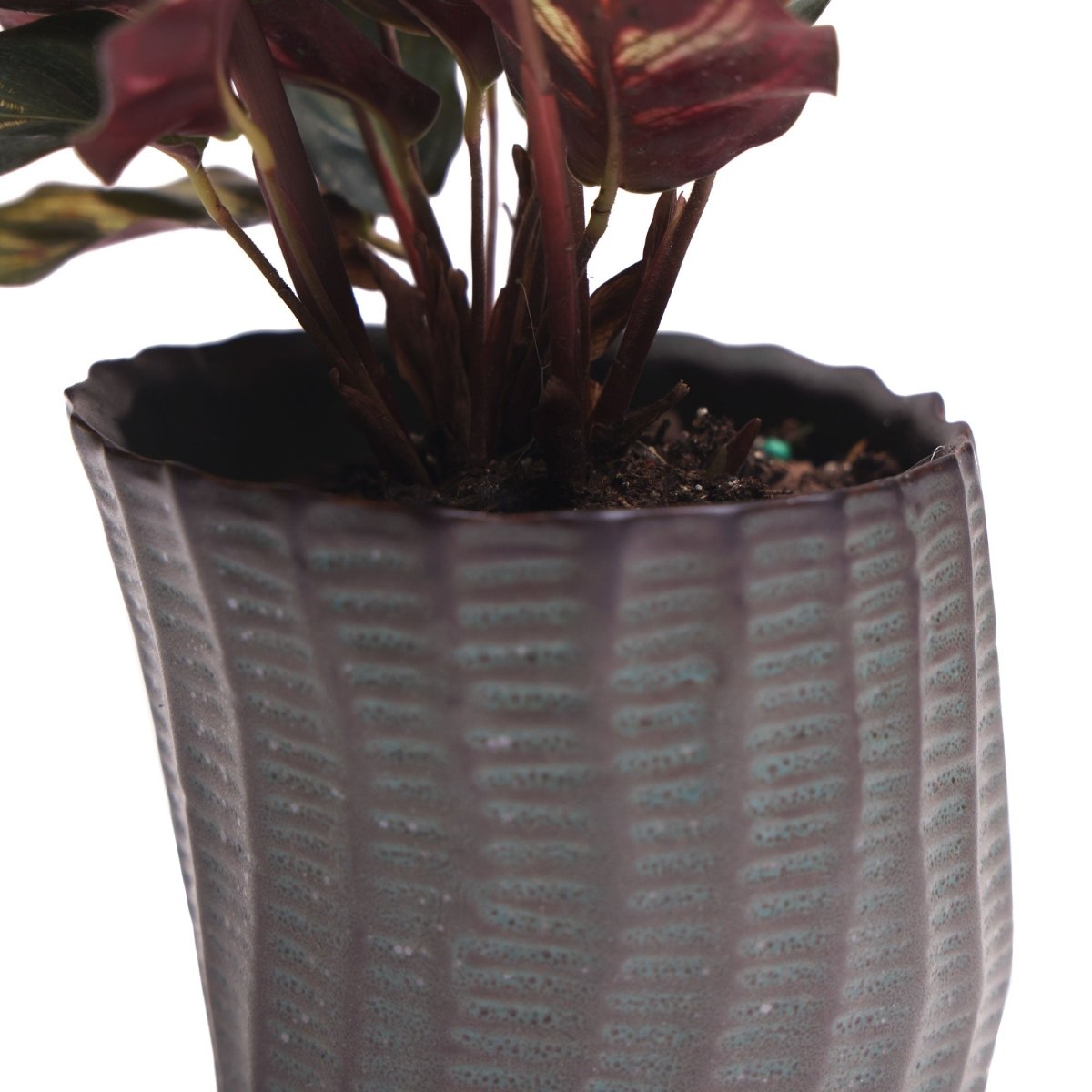 Katakana Ceramic Pot Planter - Chive US Wholesale