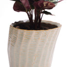 Katakana Ceramic Pot Planter - Chive US Wholesale