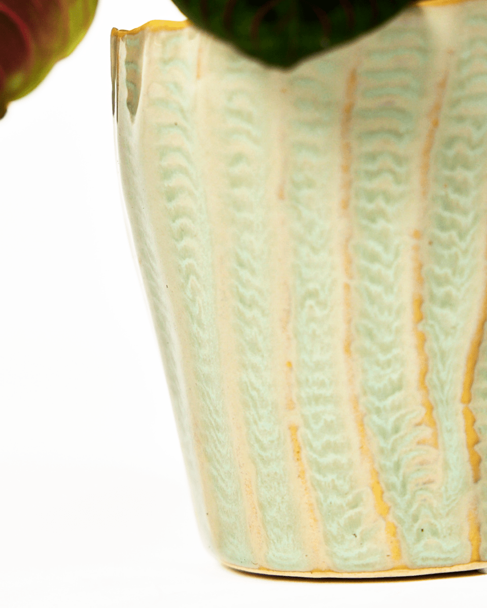 Katakana Ceramic Pot Planter - Chive US Wholesale