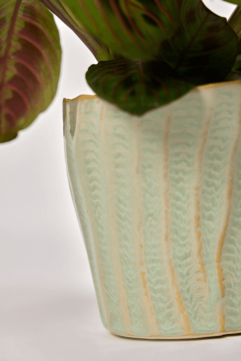 Katakana Ceramic Pot Planter - Chive US Wholesale