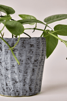 Katakana Ceramic Pot Planter - Chive US Wholesale