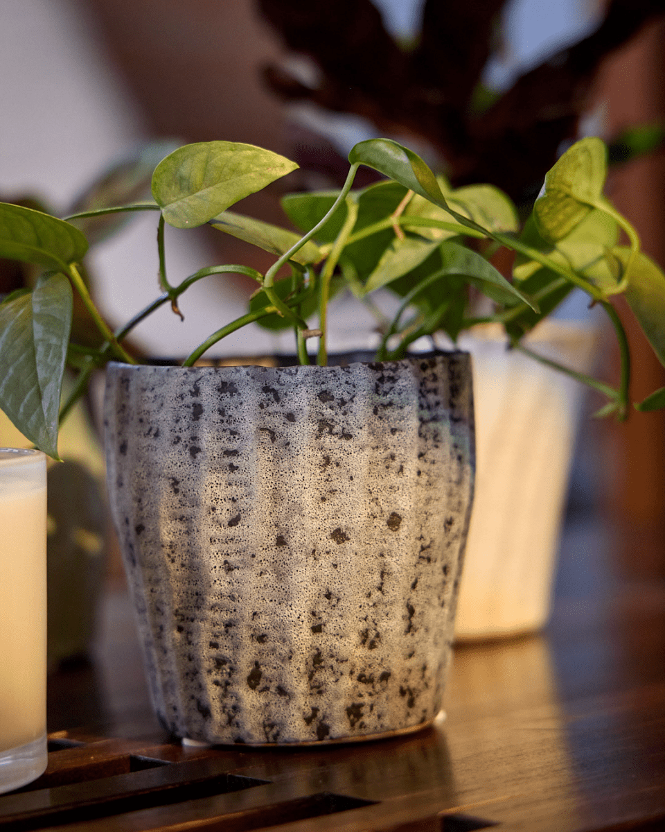 Katakana Ceramic Pot Planter - Chive US Wholesale