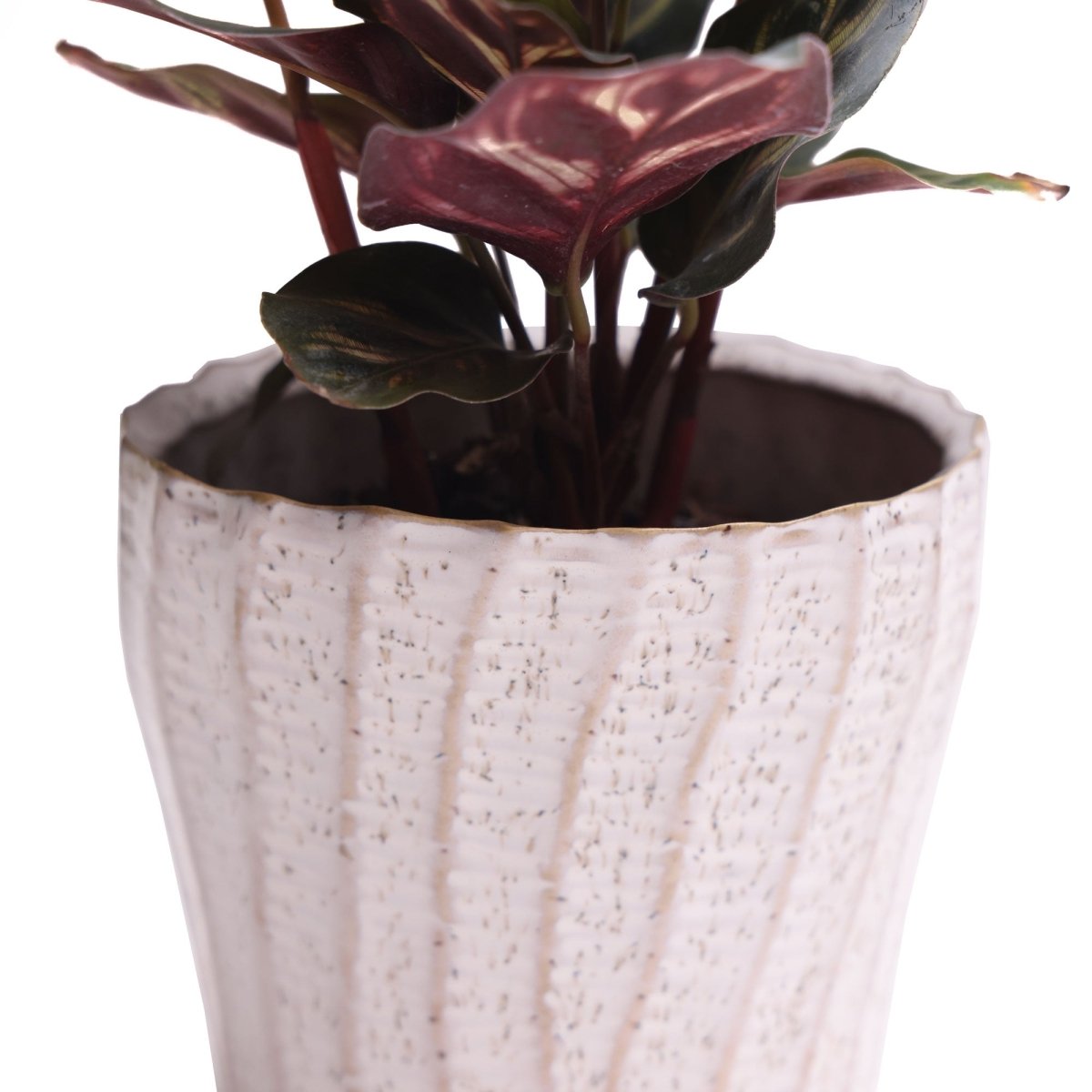 Katakana Ceramic Pot Planter - Chive US Wholesale