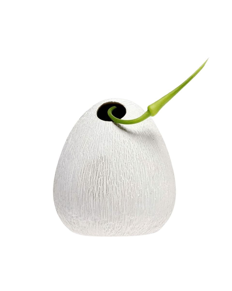 Koski Ceramic Flower Vase - Chive US Wholesale