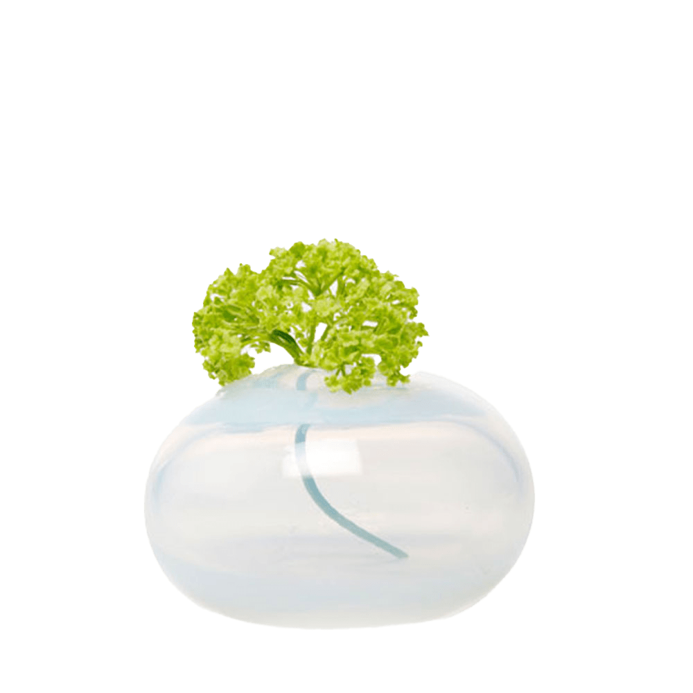 Ligne Glass Modern Flower Vase - Chive US Wholesale