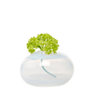 Ligne Glass Modern Flower Vase - Chive US Wholesale