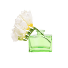 Loft Glass Vintage Bud Vases For Weddings - Chive US Wholesale