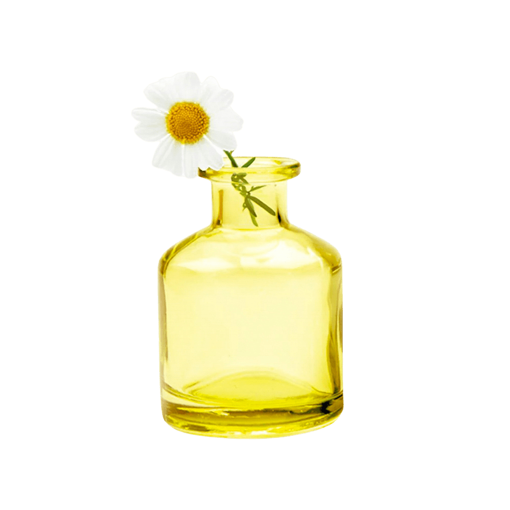 Loft Glass Vintage Bud Vases Kits - Chive US Wholesale