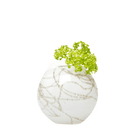 Ligne Glass Modern Flower Vase - Chive US Wholesale