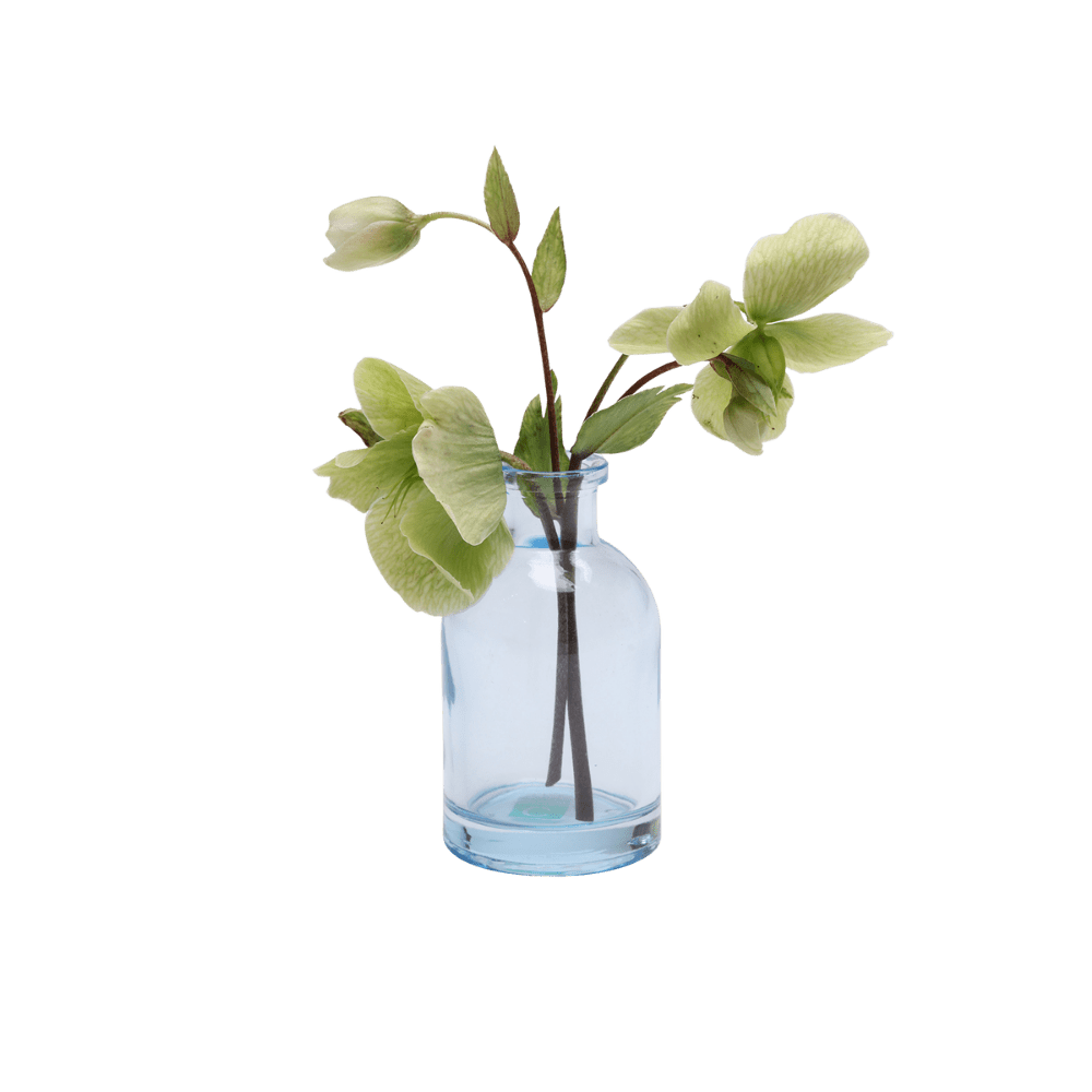 Loft Glass Vintage Bud Vases For Weddings - Chive US Wholesale