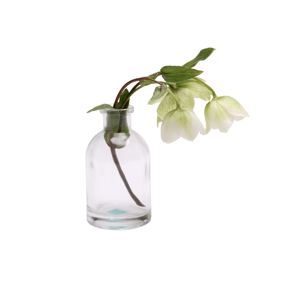 Loft Glass Vintage Bud Vases For Weddings - Chive US Wholesale