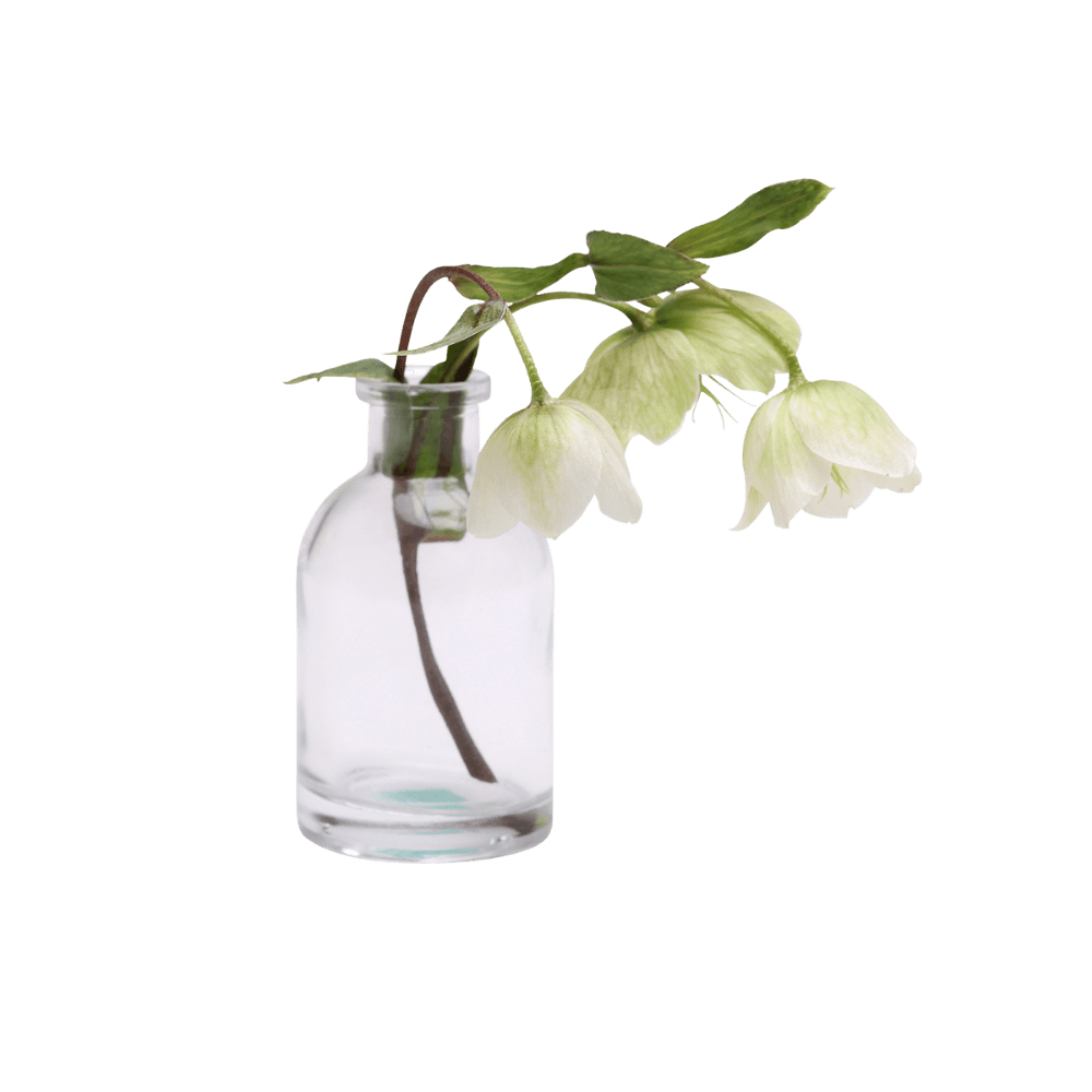 Loft Glass Vintage Bud Vases For Weddings - Chive US Wholesale