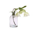 Loft Glass Vintage Bud Vases For Weddings - Chive US Wholesale
