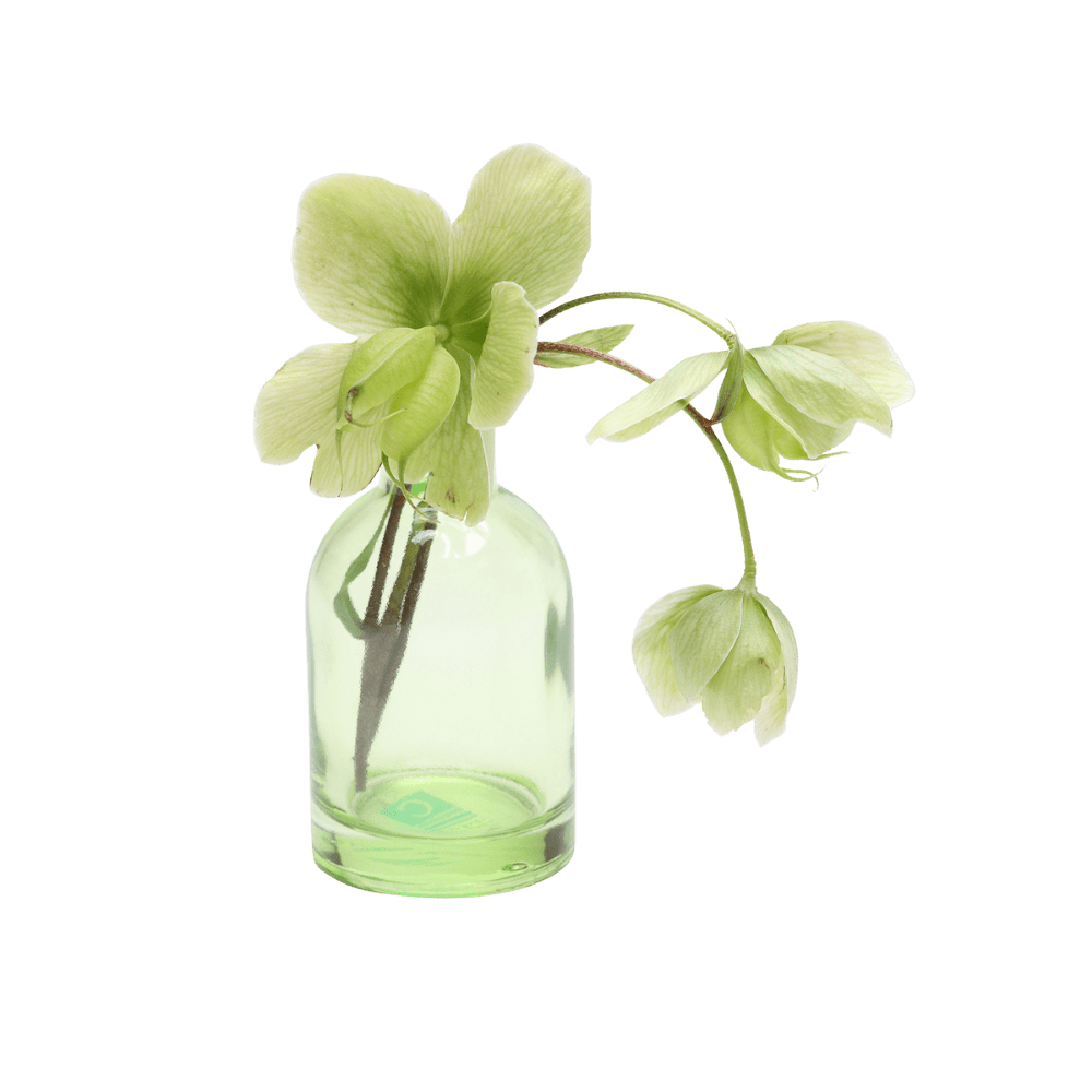 Loft Glass Vintage Bud Vases For Weddings - Chive US Wholesale