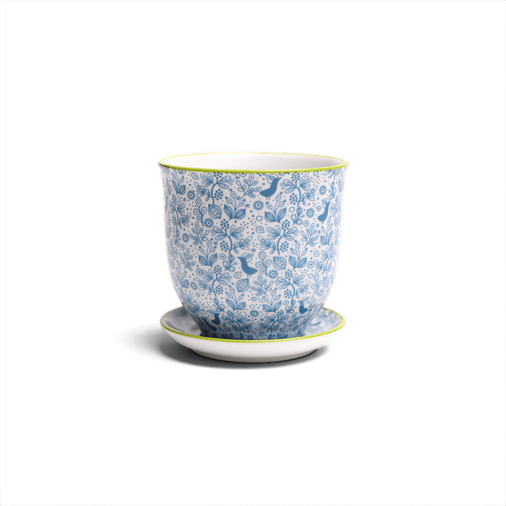 Liberte Porcelain Pot And Saucer Set With Drainage - Chive US Wholesale