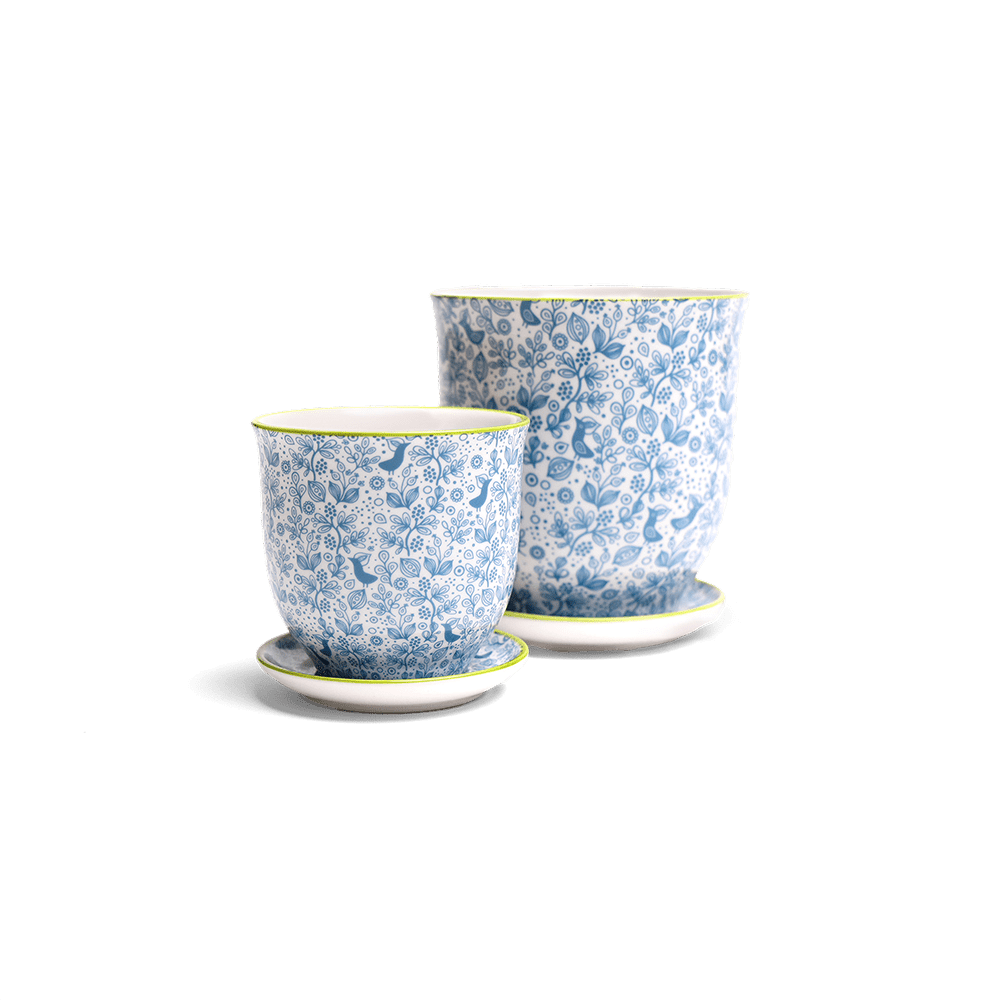 Liberte Porcelain Pot And Saucer Set With Drainage - Chive US Wholesale