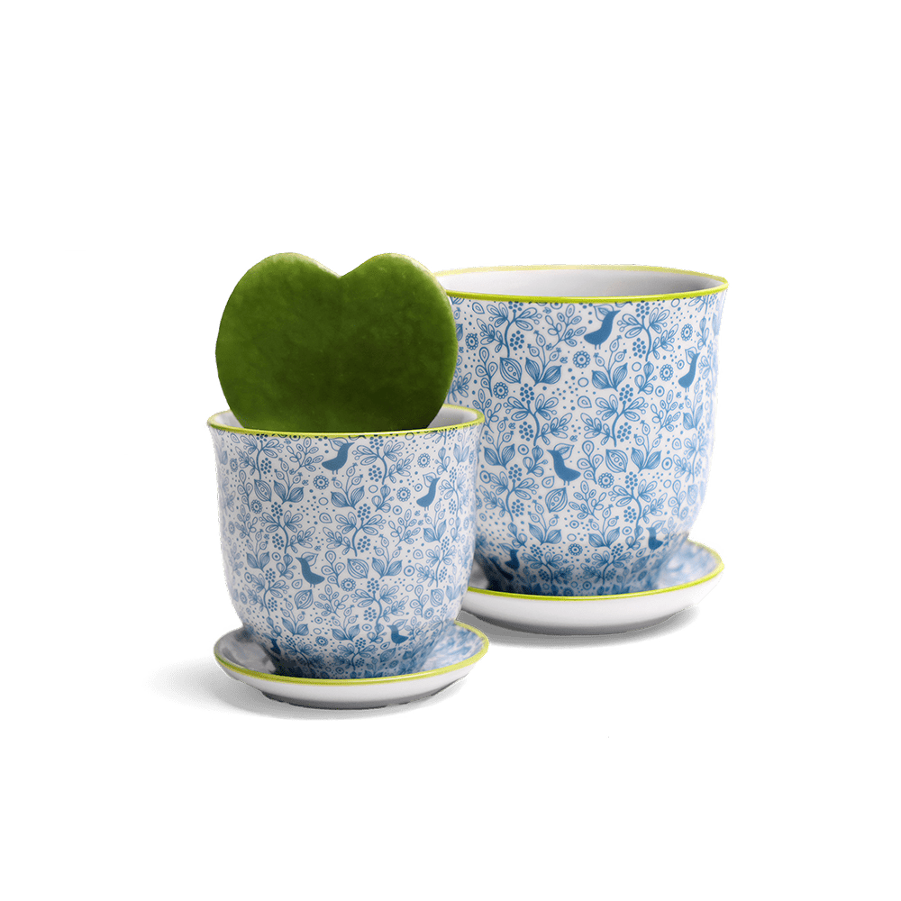 Liberte Porcelain Pot And Saucer Set With Drainage - Chive US Wholesale