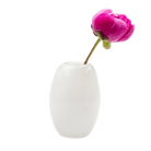 Ligne Glass Modern Flower Vase - Chive US Wholesale