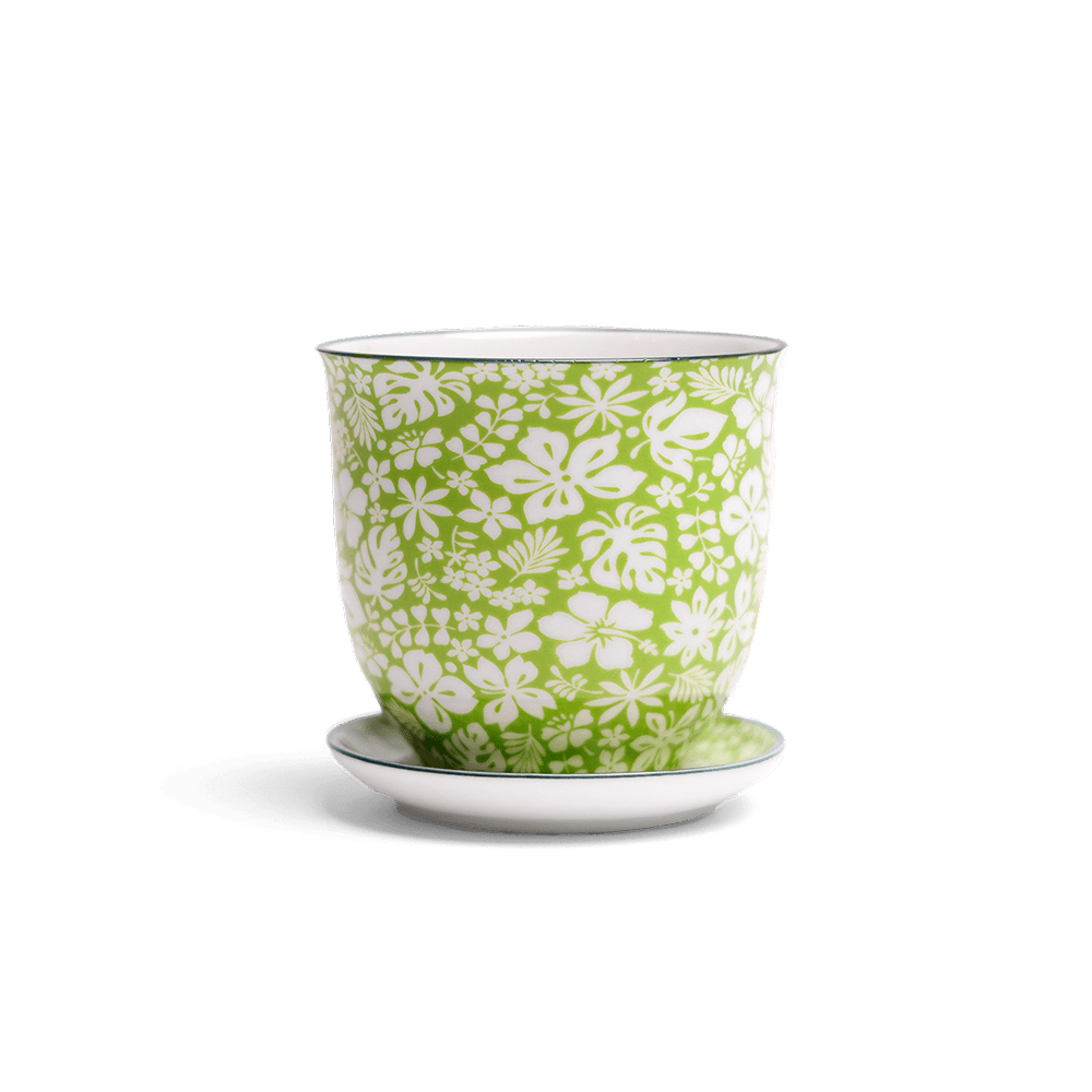 Liberte Porcelain Pot And Saucer Set With Drainage - Chive US Wholesale