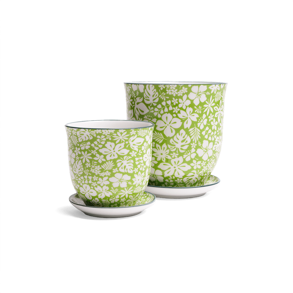 Liberte Porcelain Pot And Saucer Set With Drainage - Chive US Wholesale