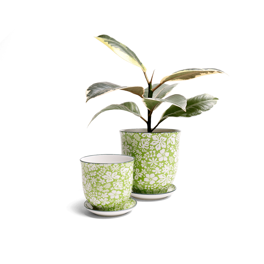 Liberte Porcelain Pot And Saucer Set With Drainage - Chive US Wholesale