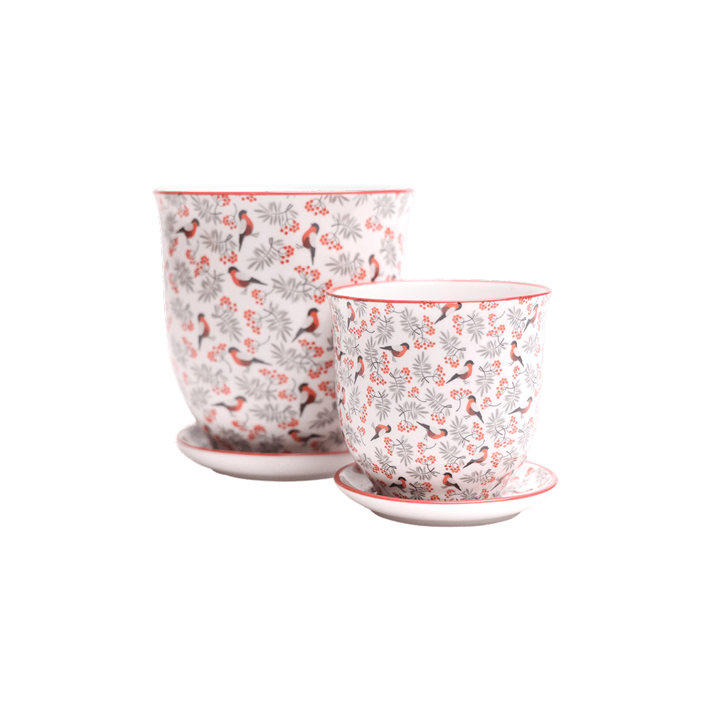 Liberte Porcelain Pot And Saucer Set With Drainage - Chive US Wholesale