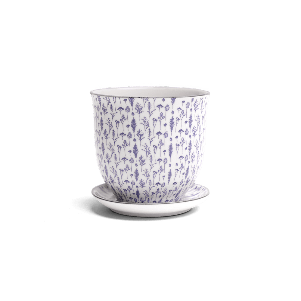 Liberte Porcelain Pot And Saucer Set With Drainage - Chive US Wholesale