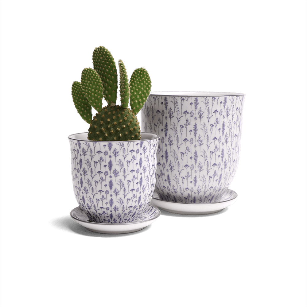 Liberte Porcelain Pot And Saucer Set With Drainage - Chive US Wholesale