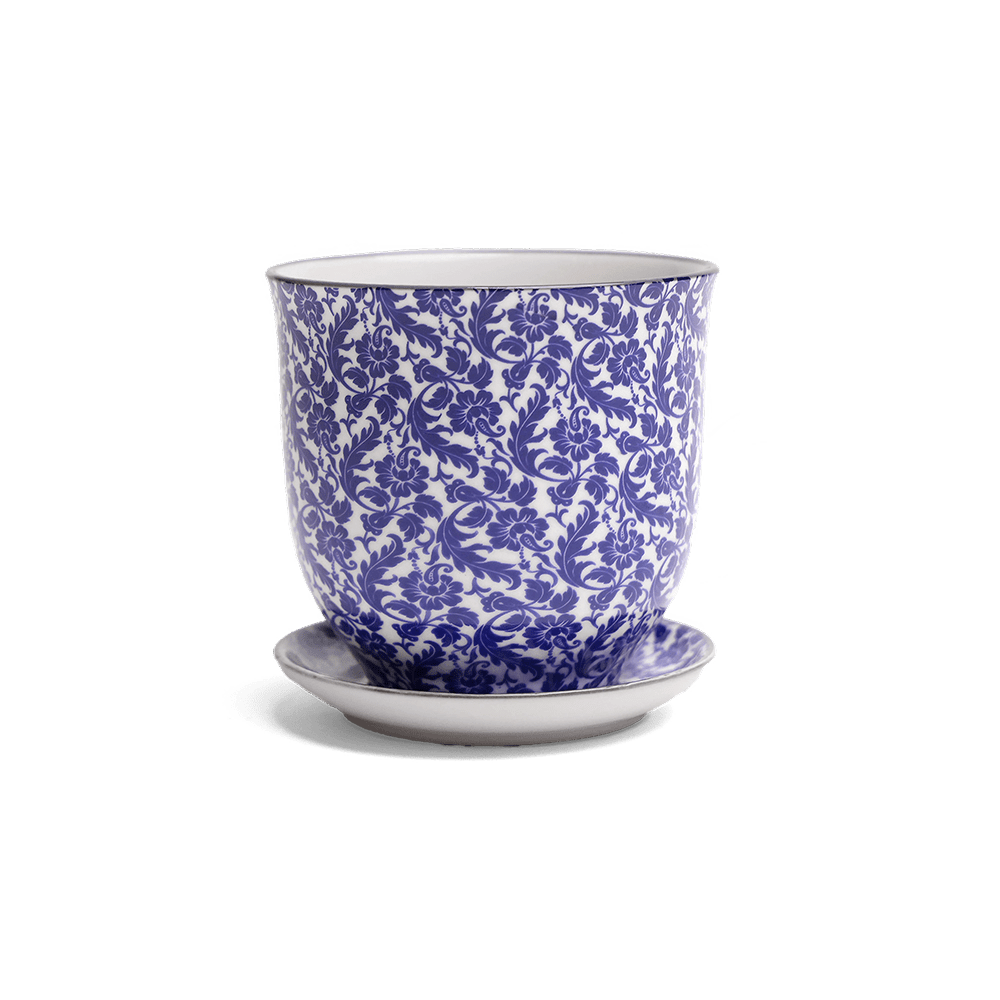 Liberte Porcelain Pot And Saucer Set With Drainage - Chive US Wholesale