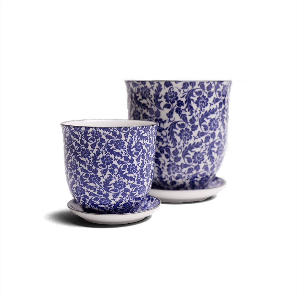 Liberte Porcelain Pot And Saucer Set With Drainage - Chive US Wholesale