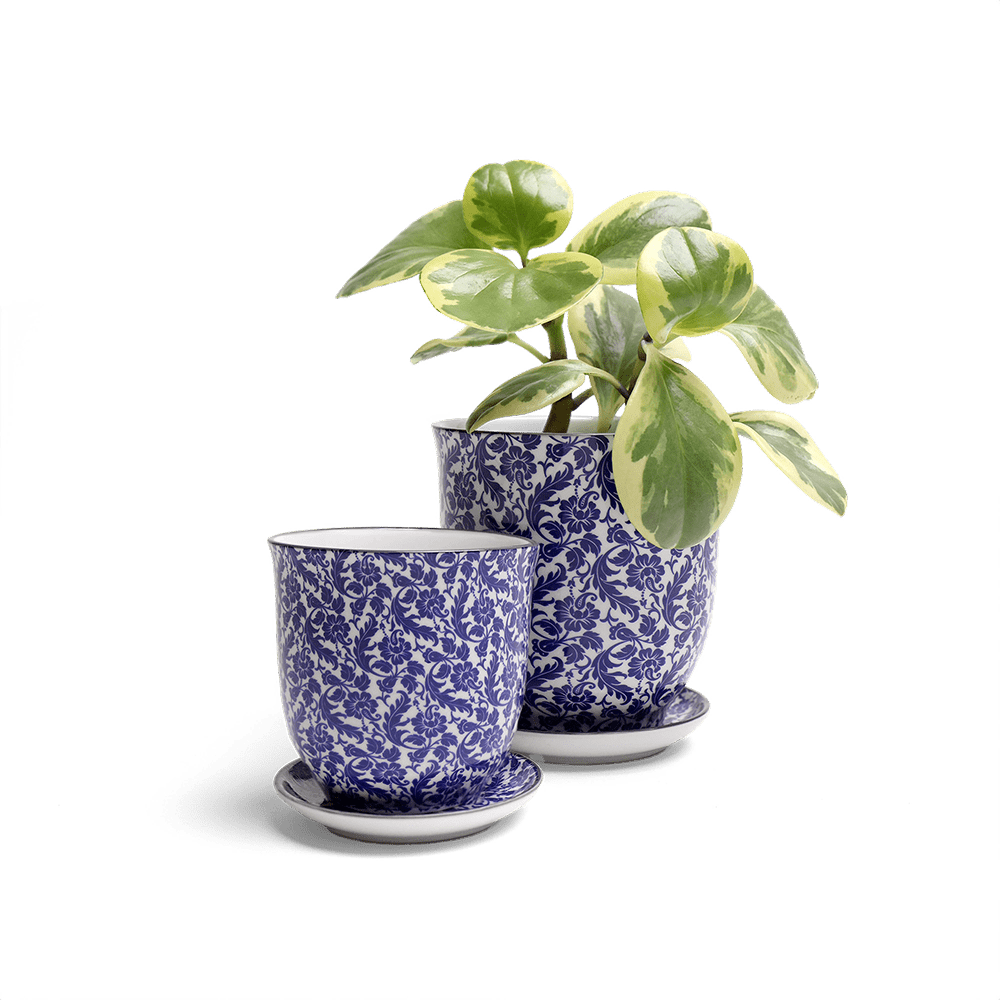 Liberte Porcelain Pot And Saucer Set With Drainage - Chive US Wholesale