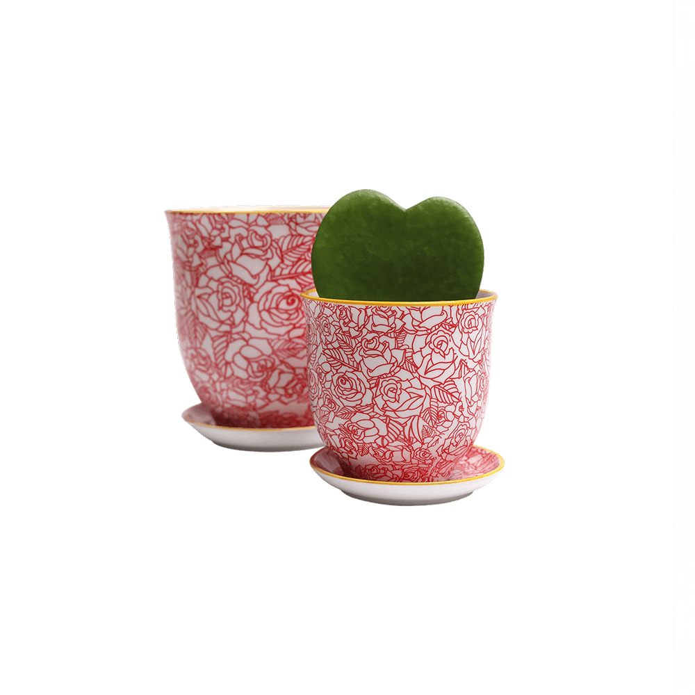 Liberte Porcelain Pot And Saucer Set With Drainage - Chive US Wholesale