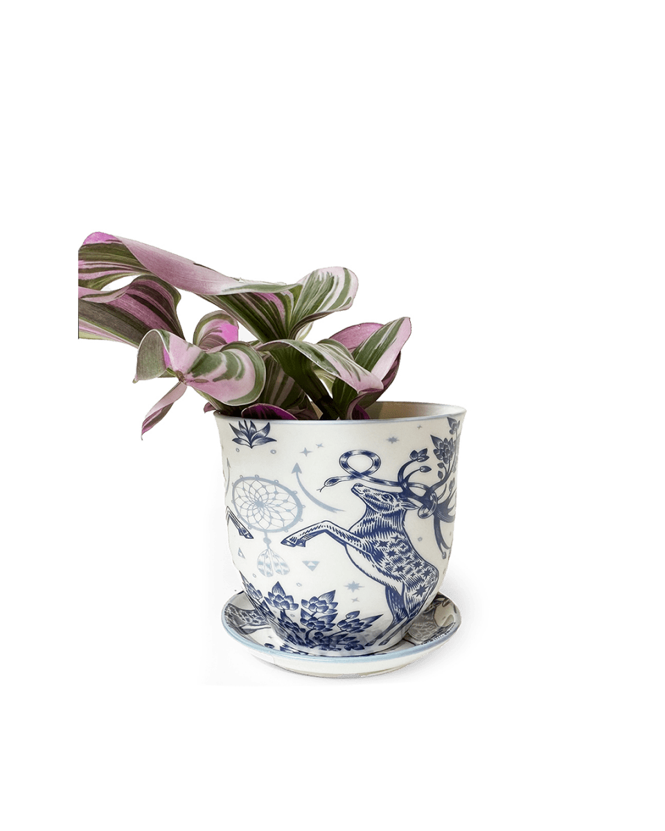 Liberte 5 Porcelain Pot And Saucer Kit With Drainage - Chive US Wholesale