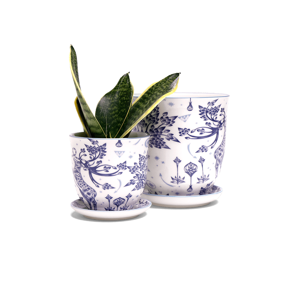 Liberte 5 Porcelain Pot And Saucer With Drainage - Chive US Wholesale