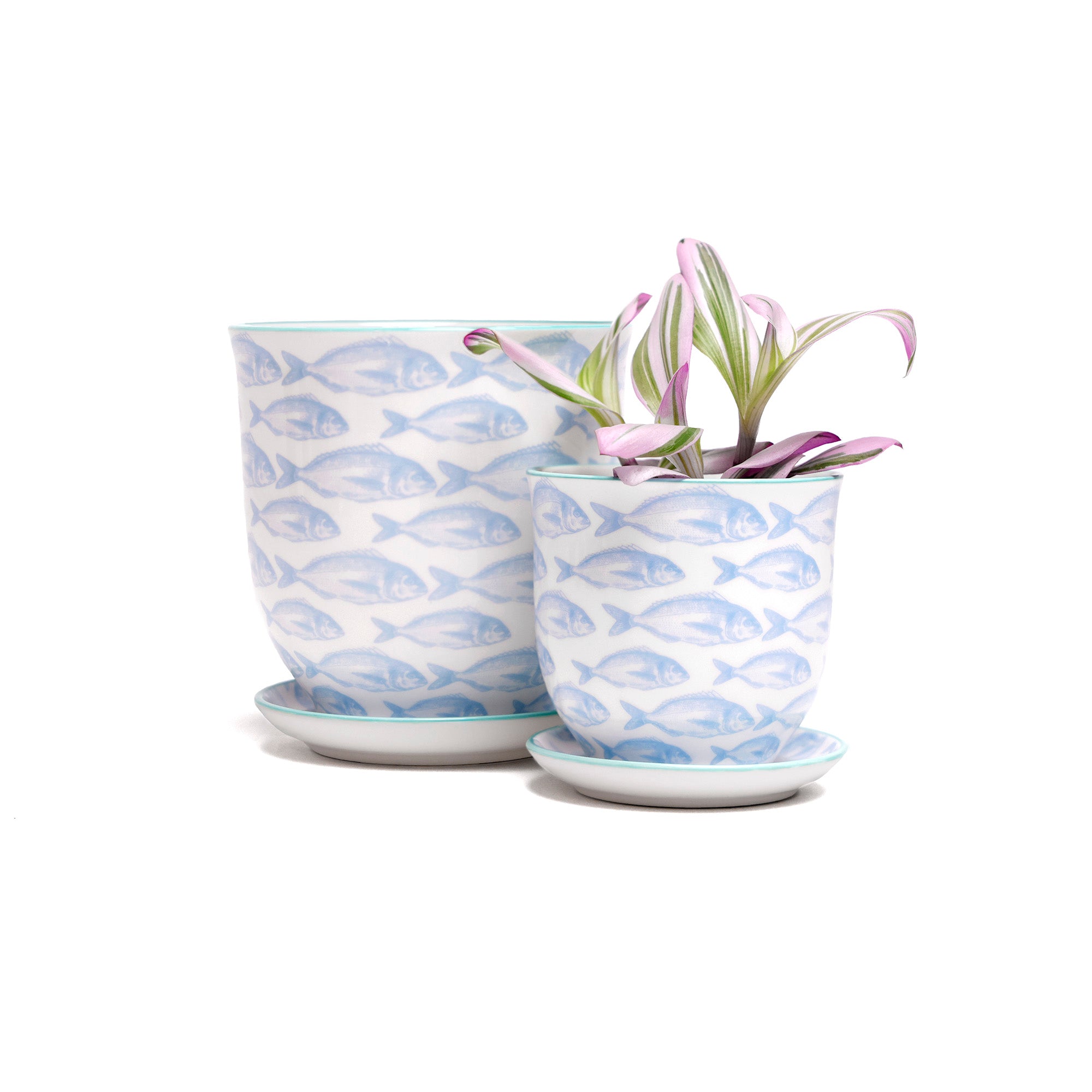 Liberte 5 Porcelain Pot And Saucer With Drainage - Chive US Wholesale