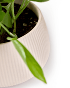 Lilo Porcelain Modern Indoor Plant Pot Kits - Chive US Wholesale