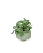 Lilo Porcelain Modern Indoor Plant Pot - Chive US Wholesale