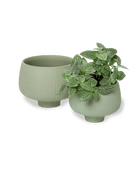 Lilo Porcelain Modern Indoor Plant Pot - Chive US Wholesale