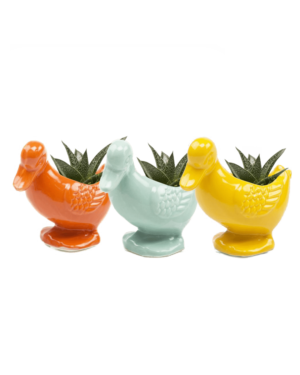 Lucy The Duck Ceramic Indoor Plant Pot Kit - Chive US Wholesale