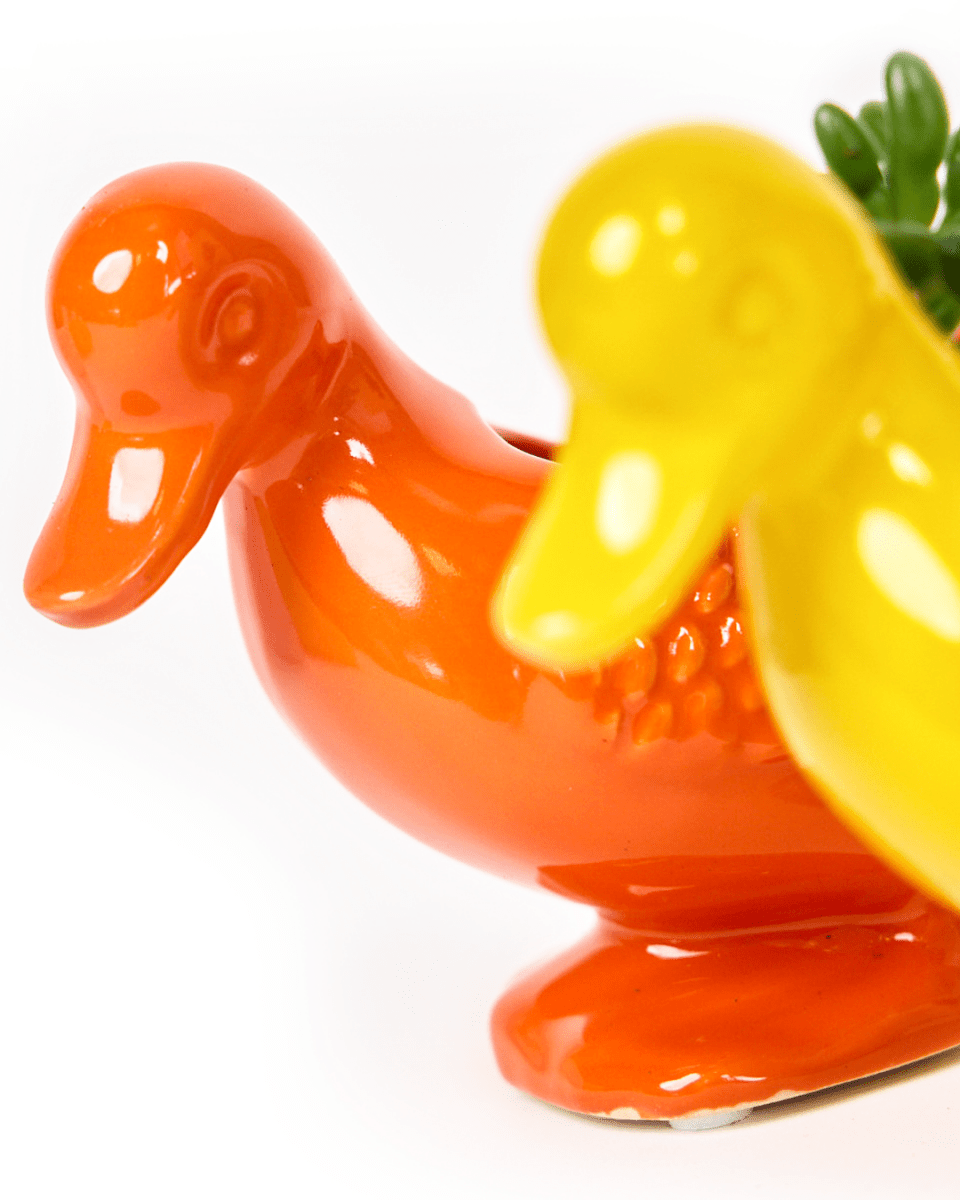 Duck Ceramic Indoor Plant Pot For Succulents - Chive US Wholesale