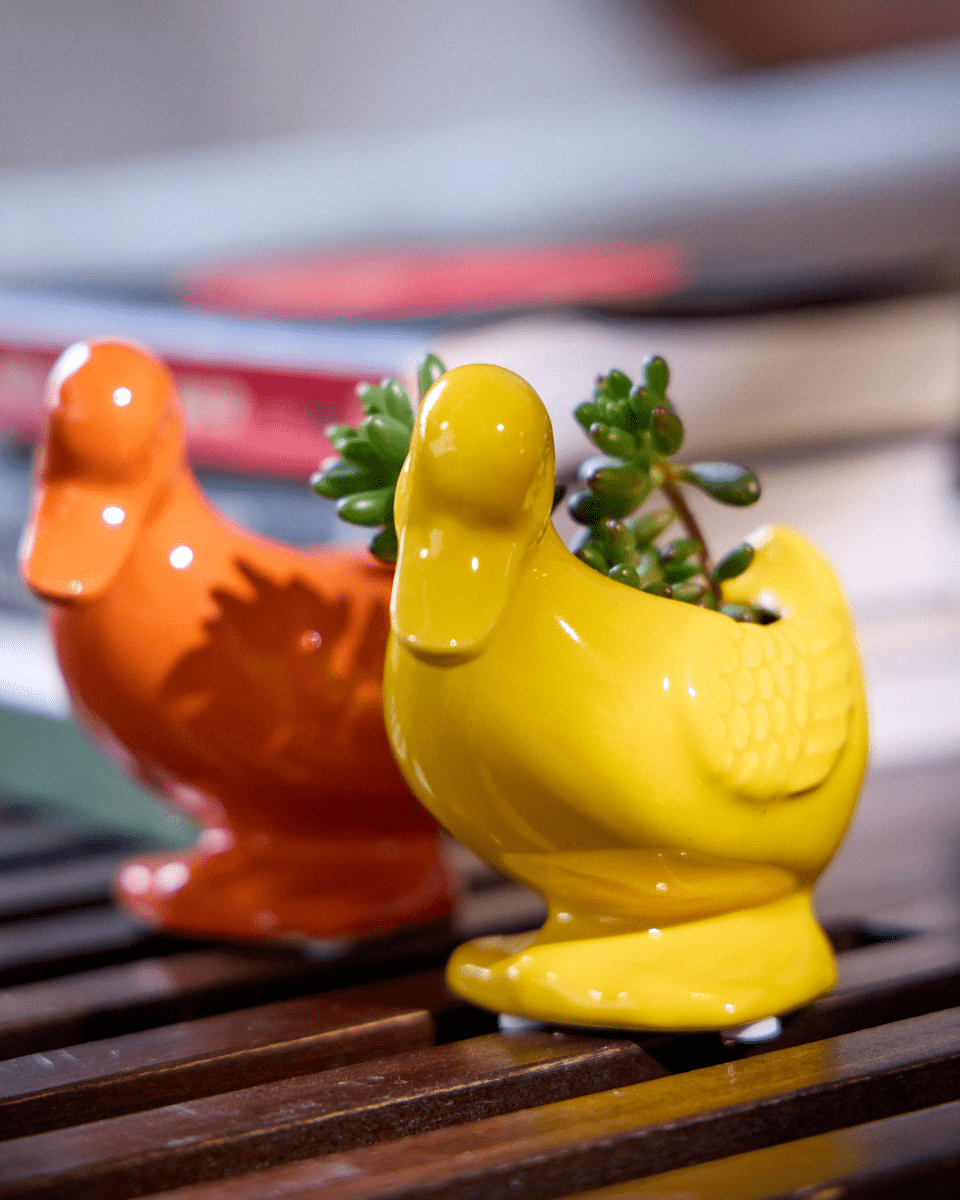 Duck Ceramic Indoor Plant Pot For Succulents - Chive US Wholesale