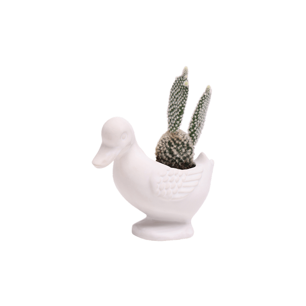 Duck Ceramic Indoor Plant Pot For Succulents - Chive US Wholesale