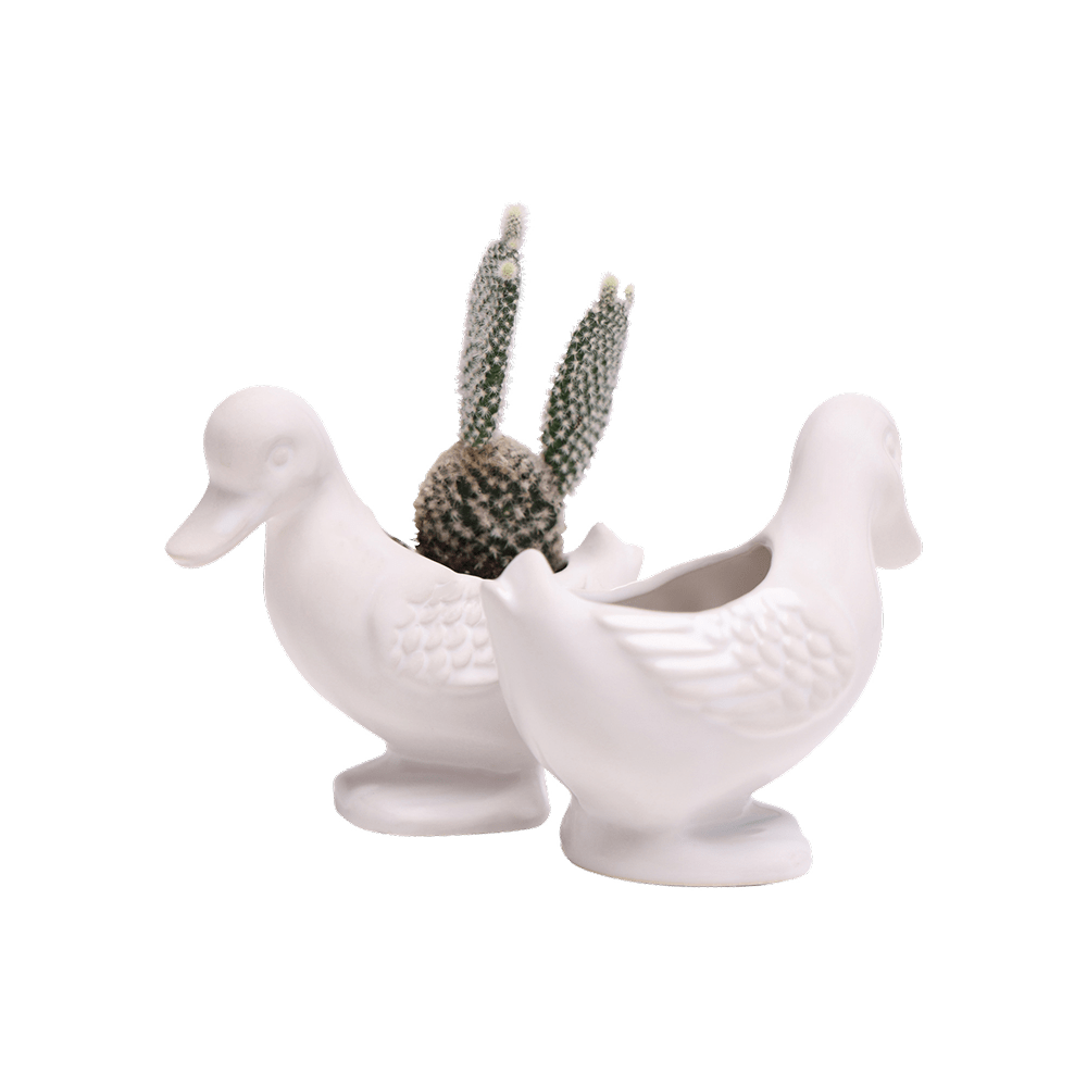 Duck Ceramic Indoor Plant Pot For Succulents - Chive US Wholesale